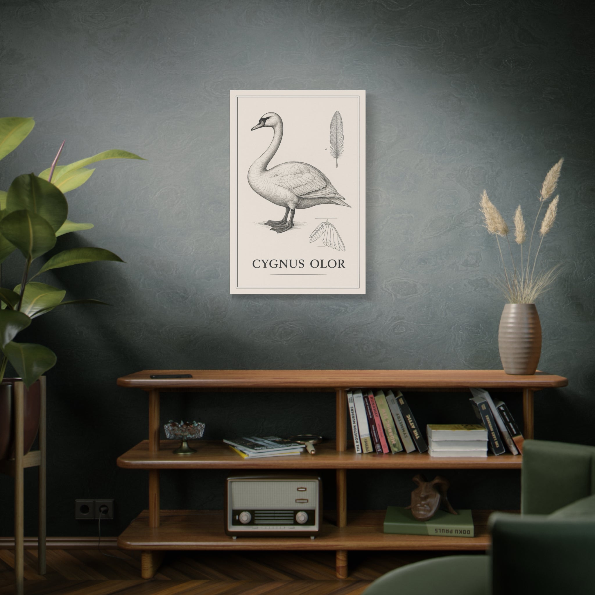 Swan Illustration