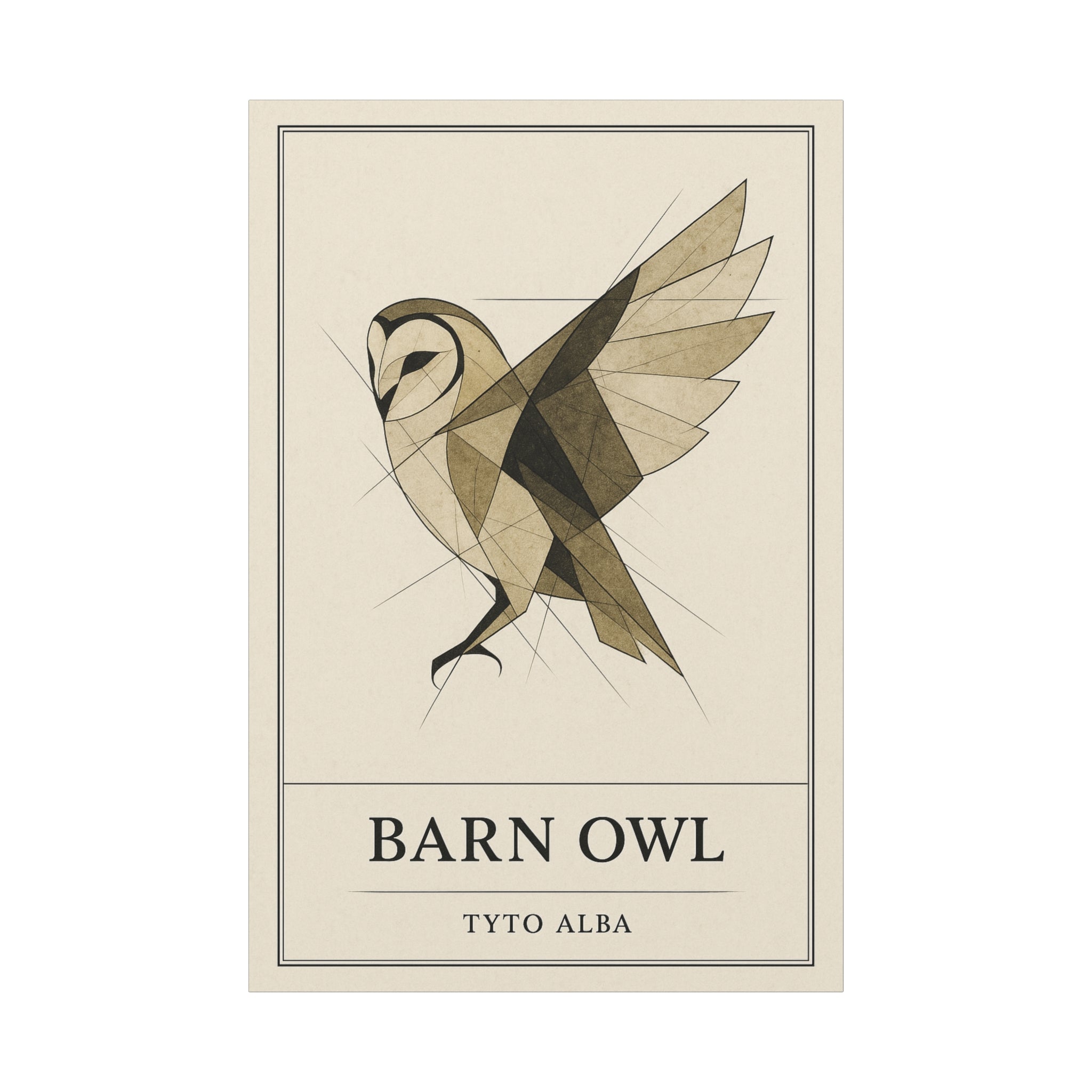 The Barn Owl