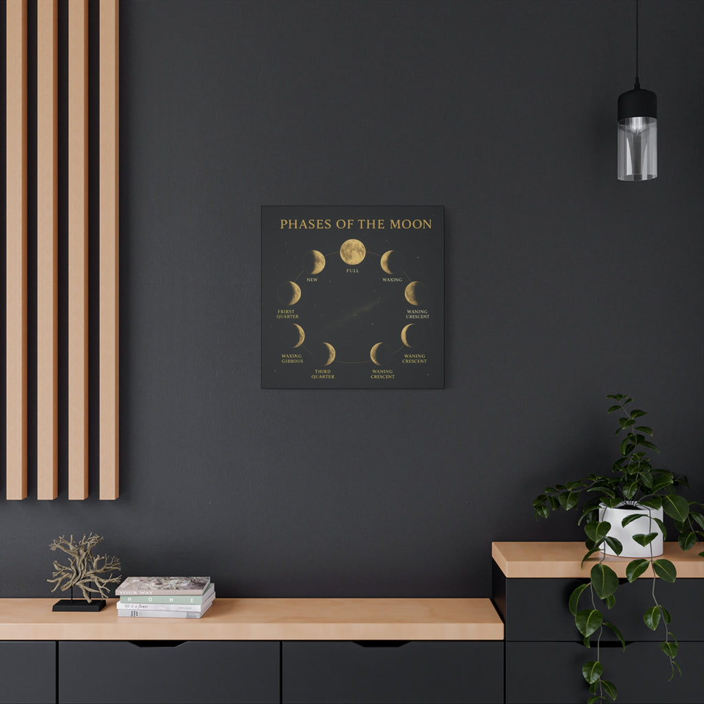 Phases of the Moon