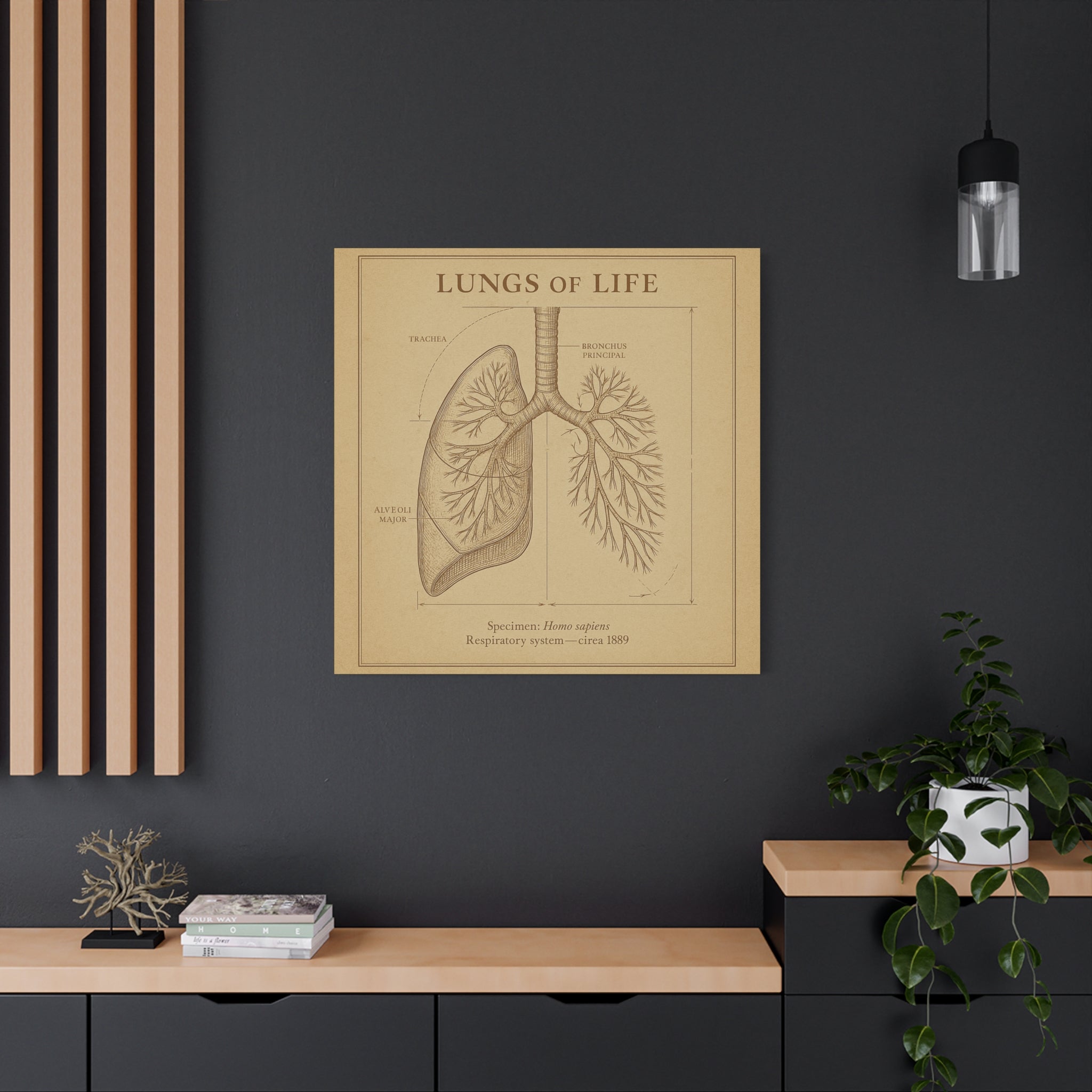 Lungs of Life
