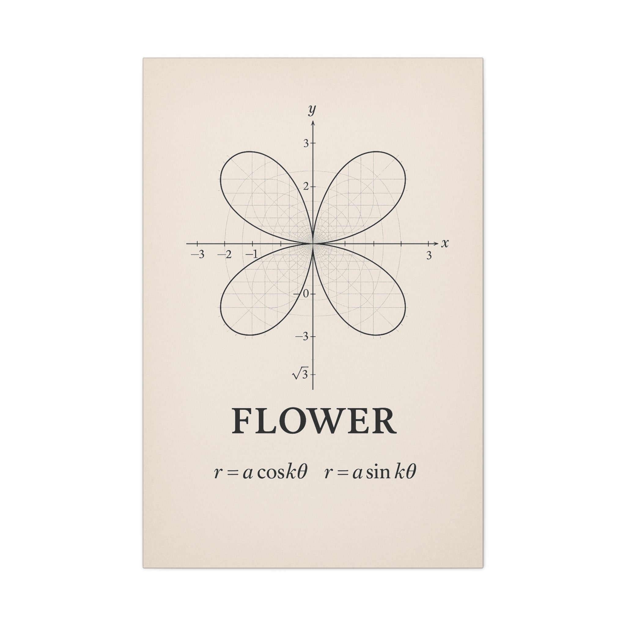 Floral Polar Equation Art