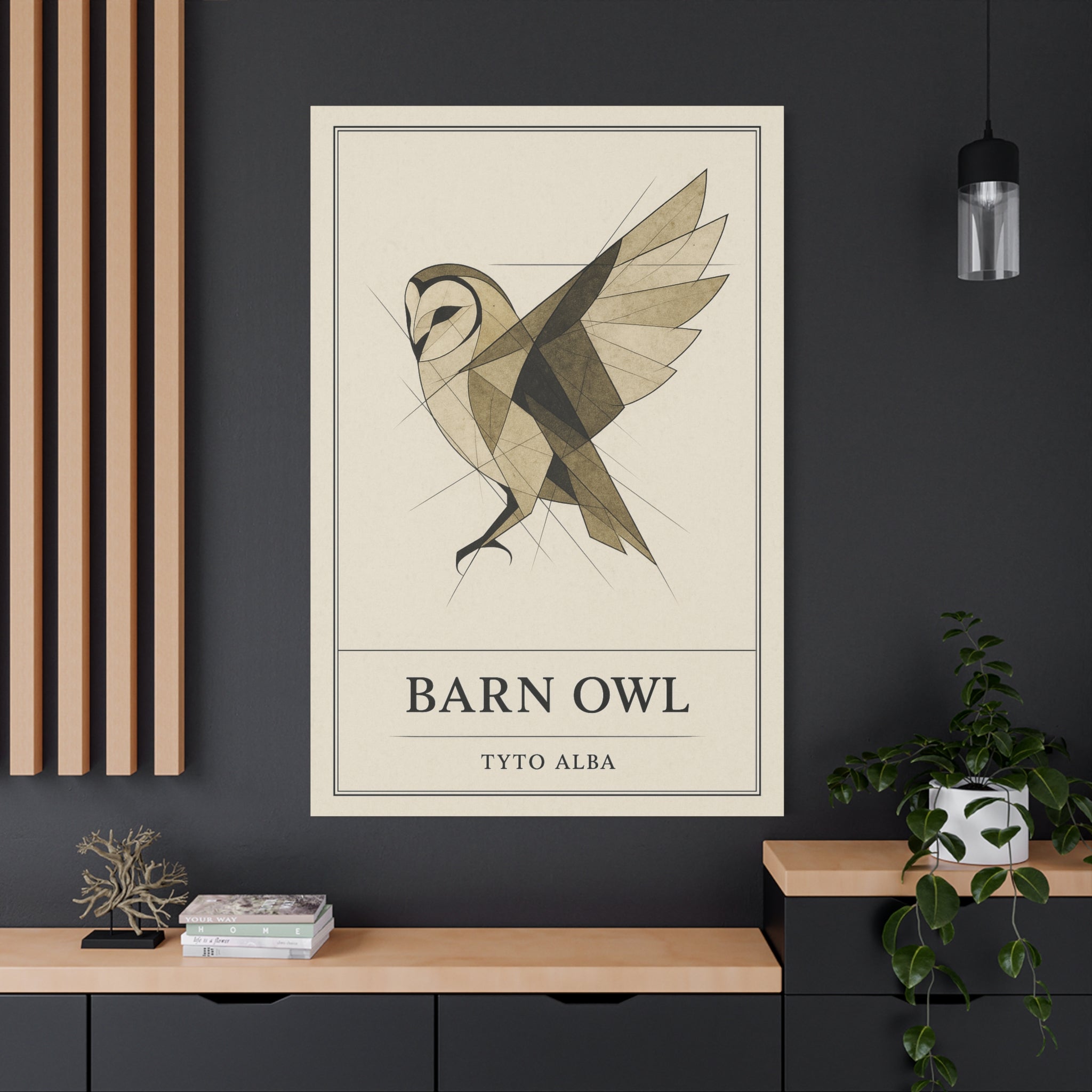 The Barn Owl