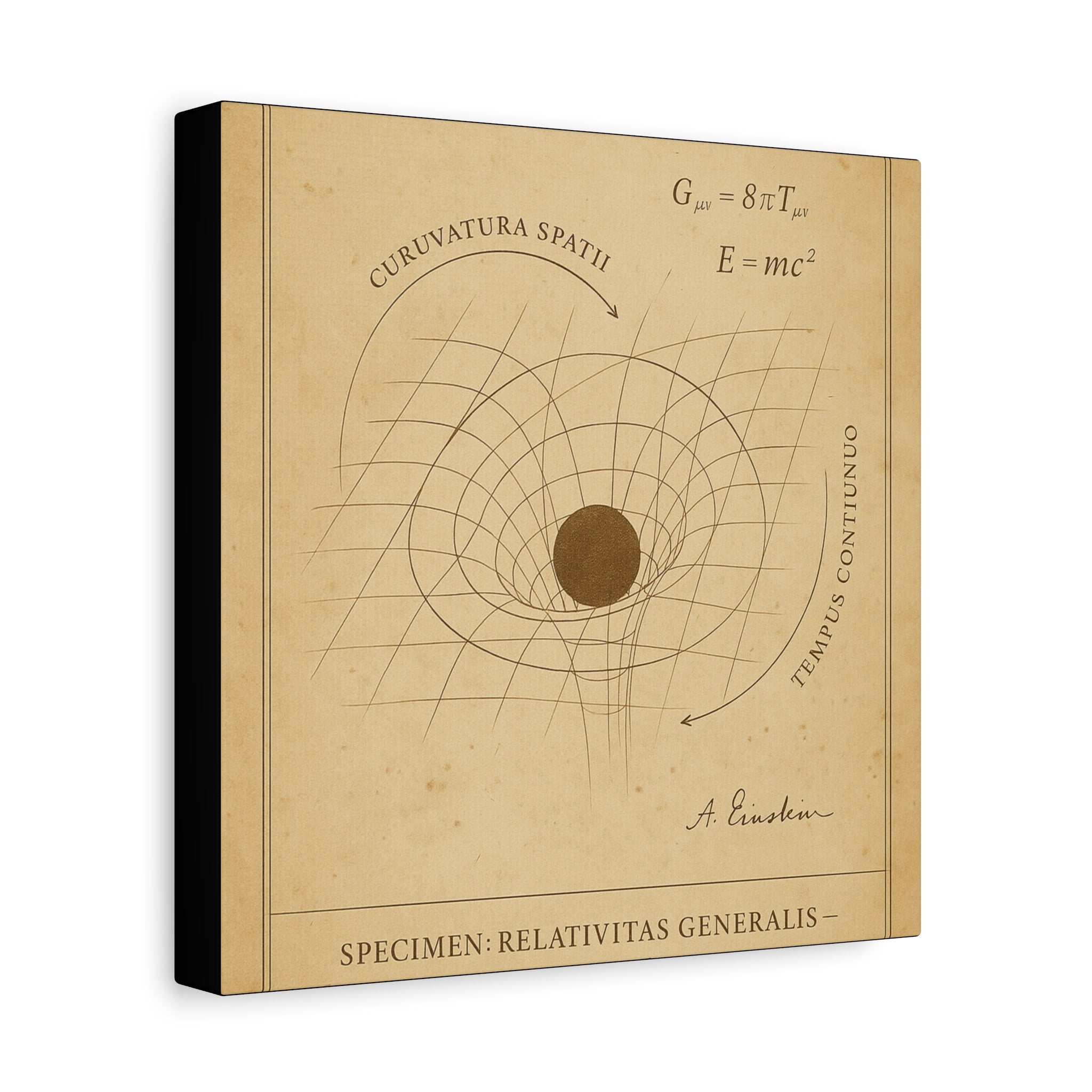 Relativity diagram minimal physics art